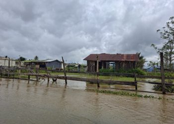 BPBD Tetapkan Status Siaga Darurat Bencana di Kabupaten Jayapura