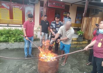 Sat Resnarkoba Polres Jayapura Musnahkan Barang Bukti Ganja