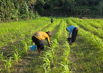 Menyentuh! Polisi Door to Door Bantu Warga Terdampak Banjir di Sentani