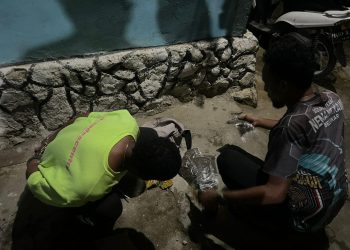 Operasi Sat Resnarkoba di Abepura Berhasil Tangkap Dua Pelaku Ganja