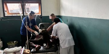 Operasi di Puncak Jaya, Anggota KKB Tak Berkutik Dilumpuhkan