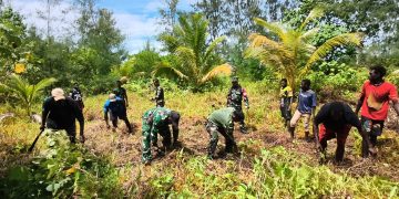 Semangat Gotong Royong, Satgas TMMD Kodim 1710/Mimika Buka Lahan Pertanian Bersama Warga