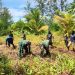 Semangat Gotong Royong, Satgas TMMD Kodim 1710/Mimika Buka Lahan Pertanian Bersama Warga