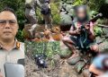 Korban Pembunuhan Pendulang Emas Dievakuasi, Pelaku Masih Diburu Aparat