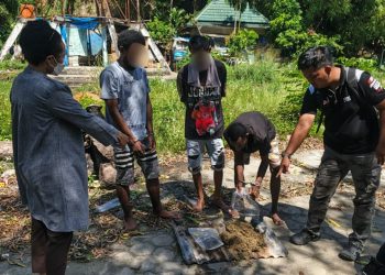 Ratusan Gram Ganja Dimusnahkan Satresnarkoba Polresta Jayapura Kota