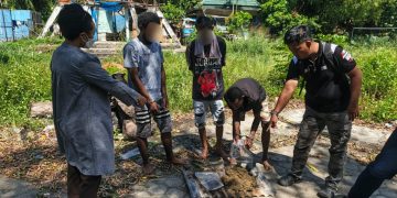 Ratusan Gram Ganja Dimusnahkan Satresnarkoba Polresta Jayapura Kota