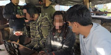 Satgas Damai Cartenz Ringkus Terduga Anggota KKB Jaringan Kodap VIII Intan Jaya