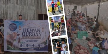 Semangat Berbagi Iduladha, Pertamina Patra Niaga Papua Maluku Salurkan Hewan Kurban