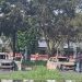 Ricuh Pasca Laga Persipura vs Adhyaksa FC, Mobil Warga dan Truk Polisi Dibakar