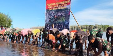 Bersatu Dengan Alam, Satgas TMMD Kodim 1710/Mimika Tanam Ribuan Bibit Mangrove