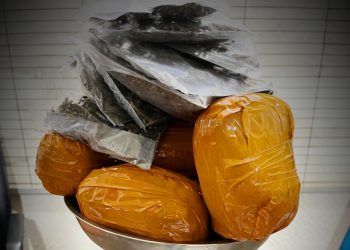 Polresta Jayapura Kota Amankan WNA PNG dengan Paket Ganja 1,5 Kg