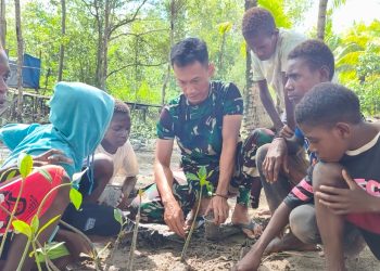 Satgas TMMD Kodim 1710/Mimika Tanamkan Kepedulian Lingkungan Lewat Penanaman Mangrove Bersama Anak-Anak