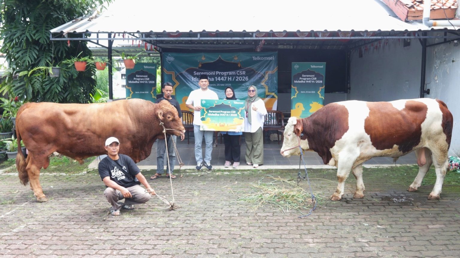Telkomsel Salurkan Puluhan Hewan Kurban di Papua, Maluku, Sulawesi, dan Kalimantan. (Foto: Istimewa)
