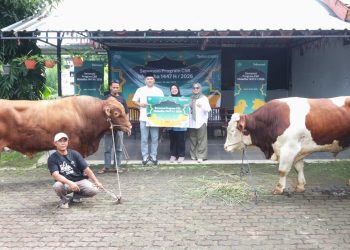 Telkomsel Salurkan 590 Hewan Kurban untuk 40 Ribu Penerima Manfaat di Indonesia