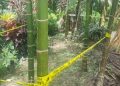 Amunisi Diduga Bom PD II Ditemukan di Doyo Baru, Polisi Lakukan Sterilisasi Area