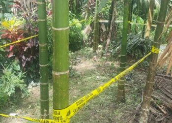 Amunisi Diduga Bom PD II Ditemukan di Doyo Baru, Polisi Lakukan Sterilisasi Area