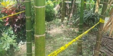 Amunisi Diduga Bom PD II Ditemukan di Doyo Baru, Polisi Lakukan Sterilisasi Area