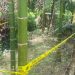 Amunisi Diduga Bom PD II Ditemukan di Doyo Baru, Polisi Lakukan Sterilisasi Area