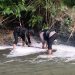 Usai Tragedi Biak, Mortir Diduga Sisa Perang Dunia II Kembali Ditemukan di Sentani
