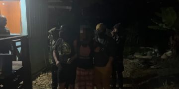Polres Tolikara Amankan Terduga Pelaku Narkotika, Puluhan Batang Ganja Berhasil Disita
