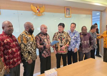 Pemkab Puncak Audiensi dengan Kemenhub, Dorong Peningkatan Transportasi Udara