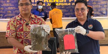 62 Paket Ganja dari PNG Gagal Beredar di Jayapura, WN Papua Nugini Dicokok Polisi