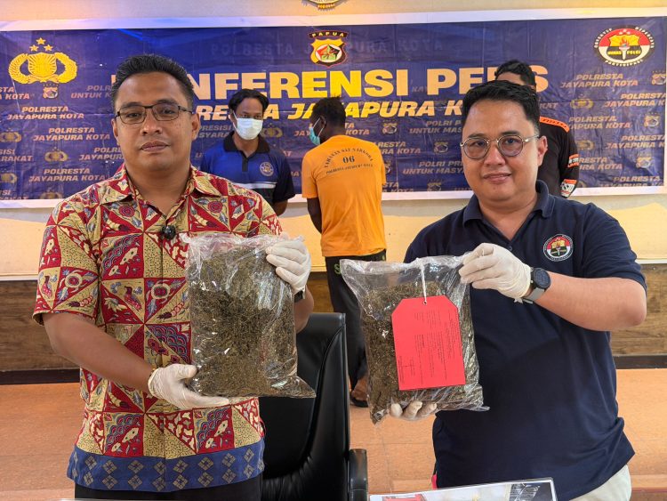 Barang bukti narkotika golongan I jenis ganja berhasil disita. (Foto: Istimewa)