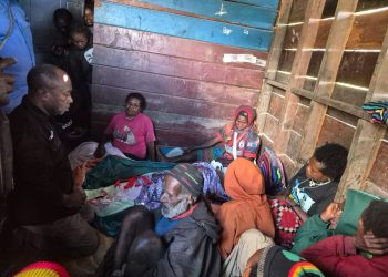Komnas HAM Turun ke Lokasi Penembakan Ibu Hamil di Intan Jaya, Temuan Awal Ungkap Enam Lubang Diduga Peluru
