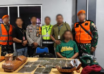 Gagal Selundupkan 2,6 Kg Ganja Lewat Bandara Sentani, Calon Penumpang Dibekuk AVSEC Sebelum Boarding