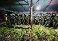 TNI Habema Sita 5.000 Batang Ganja di Yahukimo, Penyelidikan Terus Dikembangkan