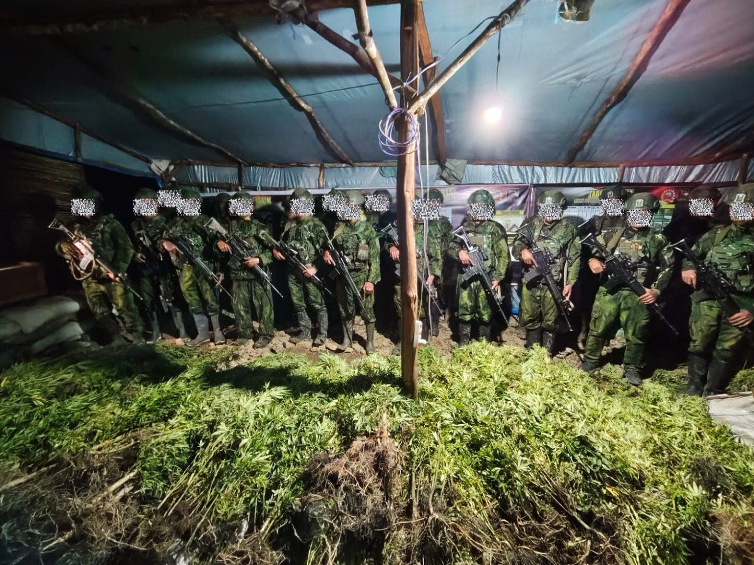 TNI Habema Sita 5.000 Batang Ganja di Yahukimo. (Foto: Istimewa)