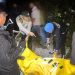 Tukang Ojek Tewas Usai Antar Penumpang di Mimika, Polisi Buru Pelaku