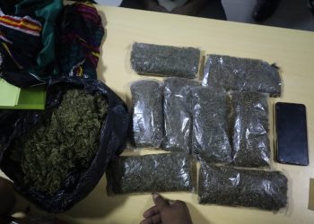 Avsec Bandara Sentani Gagalkan Penyelundupan Hampir 1 Kilogram Ganja Kering
