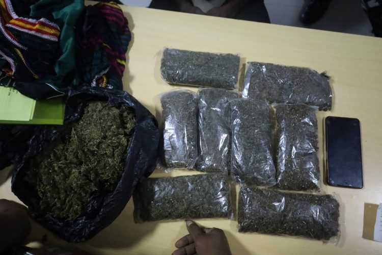 Barang bukti Narkotika jenis ganja berhasil disita. (Foto: Istimewa)