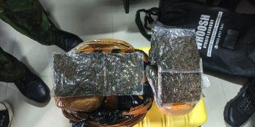 Bandara Sentani Gagalkan Lebih dari 14,5 Kg Ganja, Terbaru 3,8 Kg