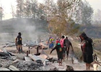 Kebakaran Lahan di Puncak Hanguskan Rumah dan Honai, RSUD Ilaga Nyaris Terbakar