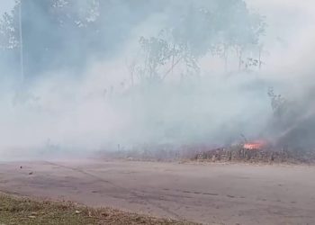 Karhutla Meluas di Biak, Kabut Asap Ganggu Pernapasan, Sekolah Diliburkan