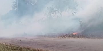 Karhutla Meluas di Biak, Kabut Asap Ganggu Pernapasan, Sekolah Diliburkan