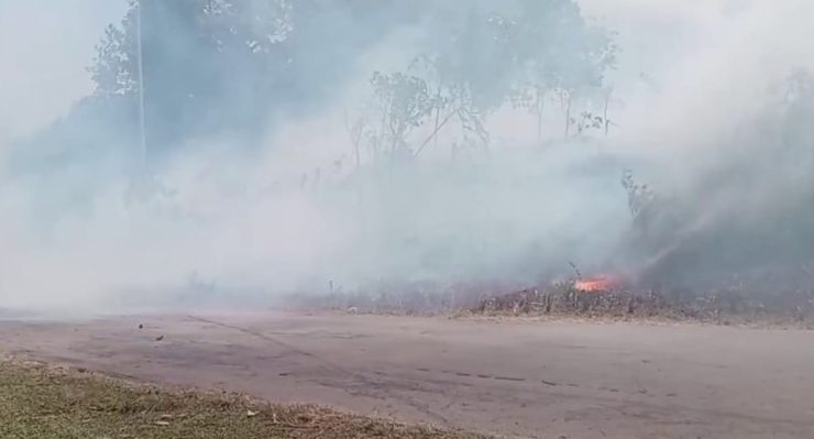 Kebakaran hutan dan lahan (karhutla) melanda sejumlah wilayah di Kabupaten Biak Numfor. (Foto: Istimewa)