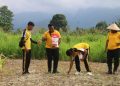 Polres Jayapura Perkuat Ketahanan Pangan, Tanam Jagung di Doyo Lama