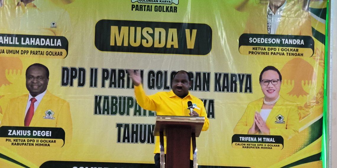 Ketua Harian Dewan Pimpinan Daerah (DPD) I Partai Golkar Provinsi Papua Tengah, Willem Wandik. (Foto: Istimewa)