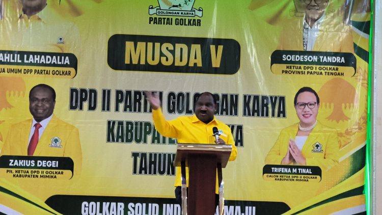 Ketua Harian Dewan Pimpinan Daerah (DPD) I Partai Golkar Provinsi Papua Tengah, Willem Wandik. (Foto: Istimewa)