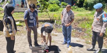 Berantas Peredaran Narkotika, Polresta Jayapura Musnahkan 65,63 Gram Ganja