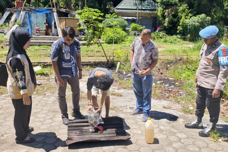 Pemusnahan Barang Bukti Narkotika, Polresta Jayapura Musnahkan 65,63 Gram Ganja. (Foto: Istimewa)
