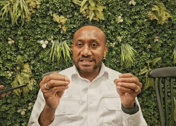 Papua Punya SDA Melimpah, Tapi Investasi Minim Yan Mandenas Ungkap Biang Masalahnya