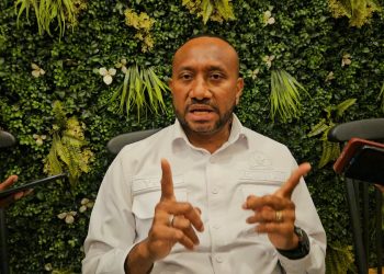 Papua Punya SDA Melimpah, Tapi Investasi Minim Yan Mandenas Ungkap Biang Masalahnya