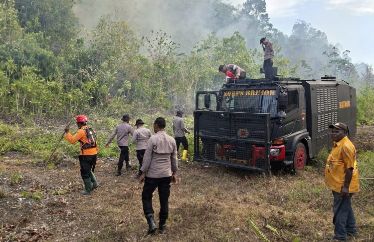 Kebakaran Lahan di Biak Numfor Ditangani, Polda Papua Imbau Warga Tak Lalai. (Foto: Istimewa)