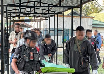 Penembakan di Muliama Jayawijaya Tewaskan Tiga Pegawai Dinas Pertanian, Polisi Selidiki Pelaku