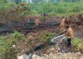 BPBD, PLN & Polres Supiori Berhasil Padamkan Karhutla Skala Kecil Depan Kantor Bupati Supiori