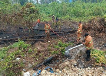 BPBD, PLN & Polres Supiori Berhasil Padamkan Karhutla Skala Kecil Depan Kantor Bupati Supiori